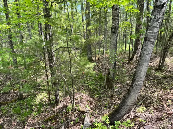 Lapointe, WI 54850,434 Minnewawa DR