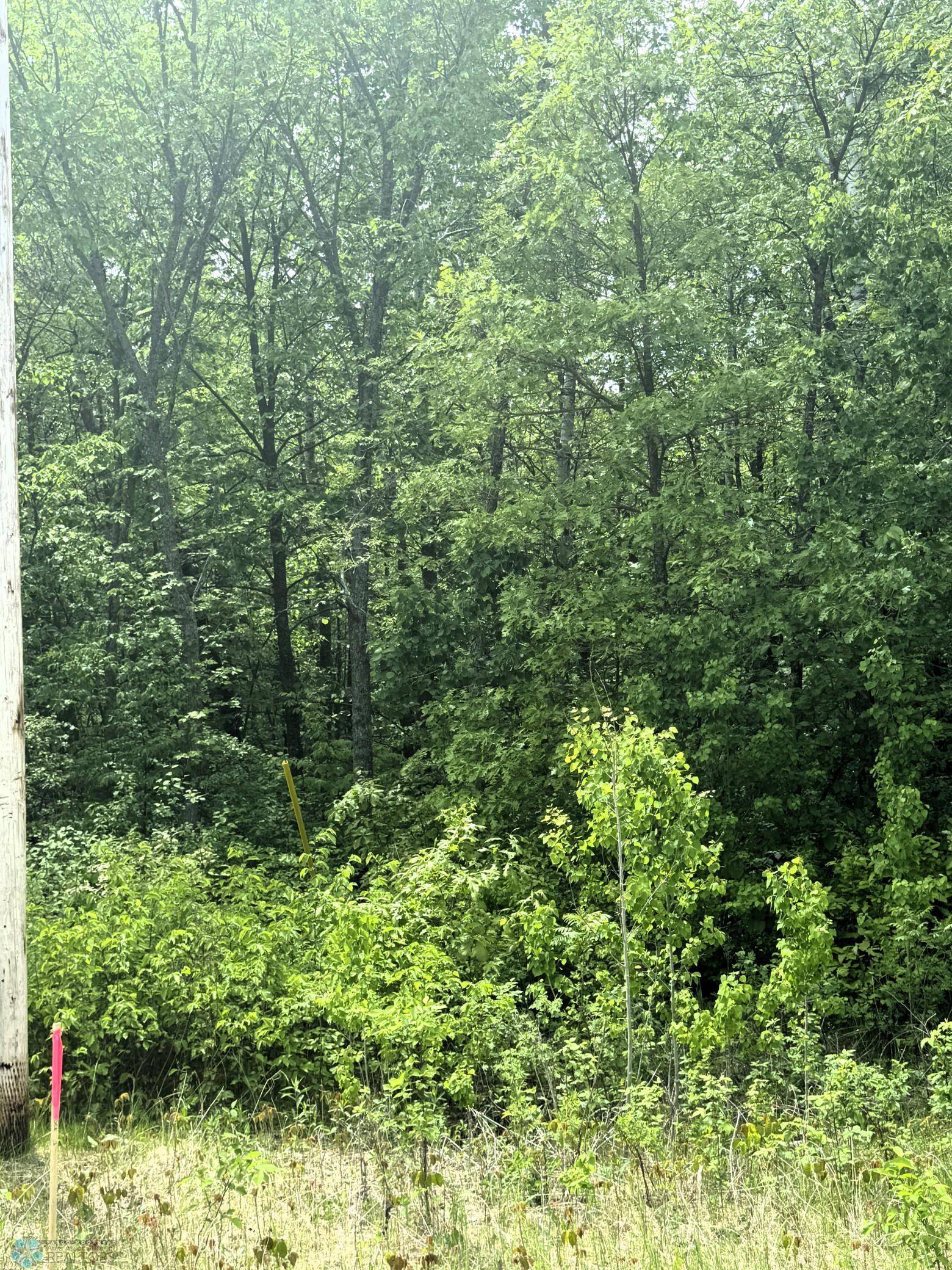 Little Elbow Twp, MN 56589,(Lot 8) TBD Ponderosa LN