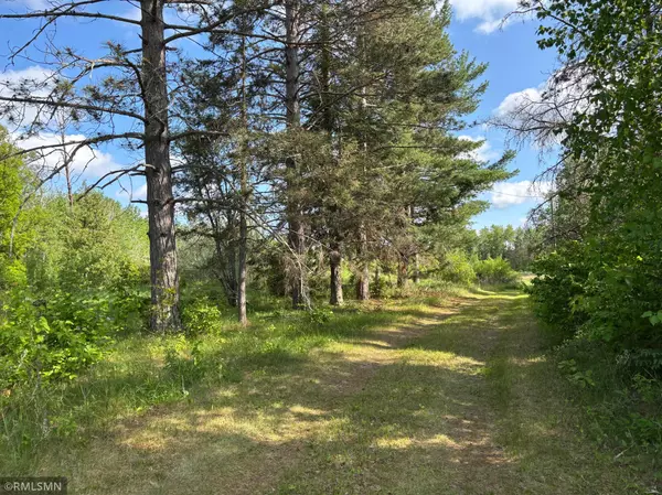 Hill City, MN 55748,36863 610th ST