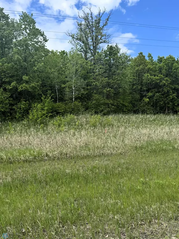 Little Elbow Twp, MN 56589,(Lot 1) TBD Ponderosa LN