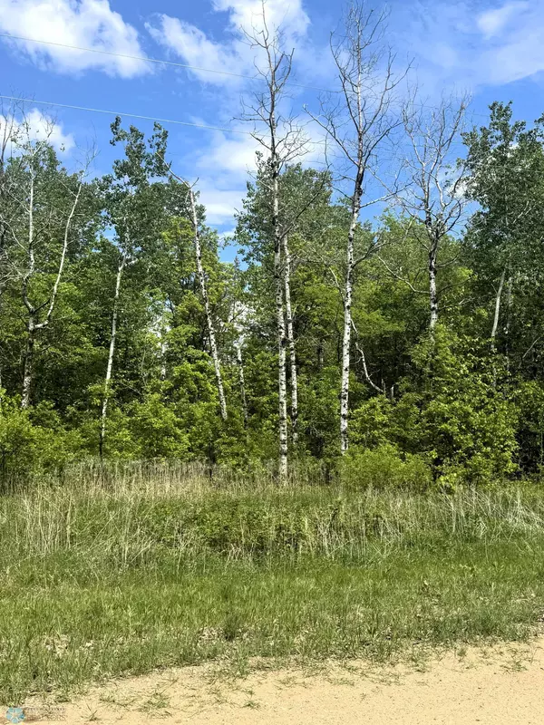Little Elbow Twp, MN 56589,(Lot 3) TBD Ponderosa LN