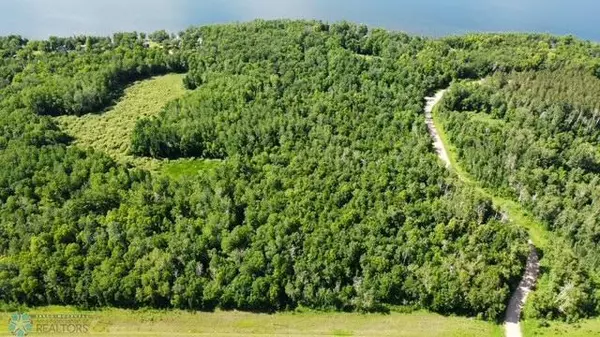 Little Elbow Twp, MN 56589,(Lot 4) TBD Waterfront LN