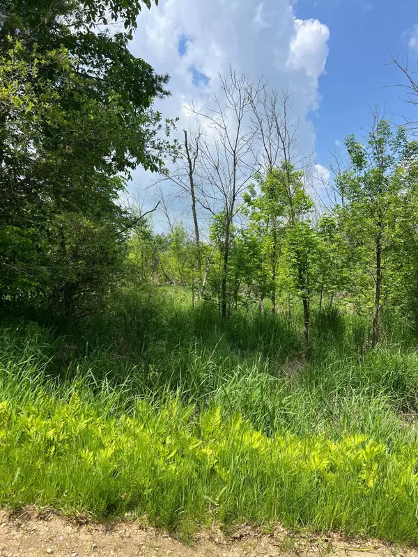 Scandia Valley Twp, MN 56466,TBD Gumwood Lane