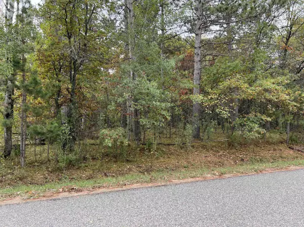 Park Rapids, MN 56470,Lot 8 & 9 Essex RD