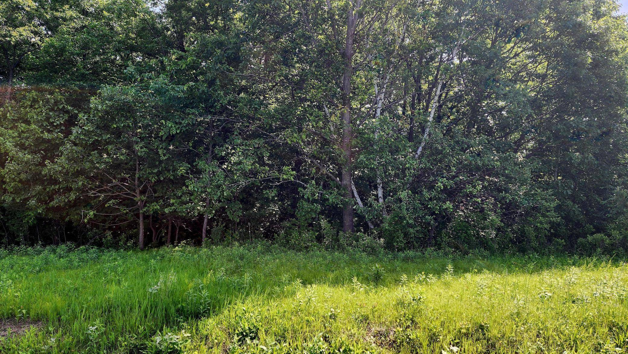 TBD 95th ST, Black Brook Twp, WI 54001