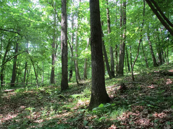 Saint Croix Falls Twp, WI 54024,XXX 160th Ave