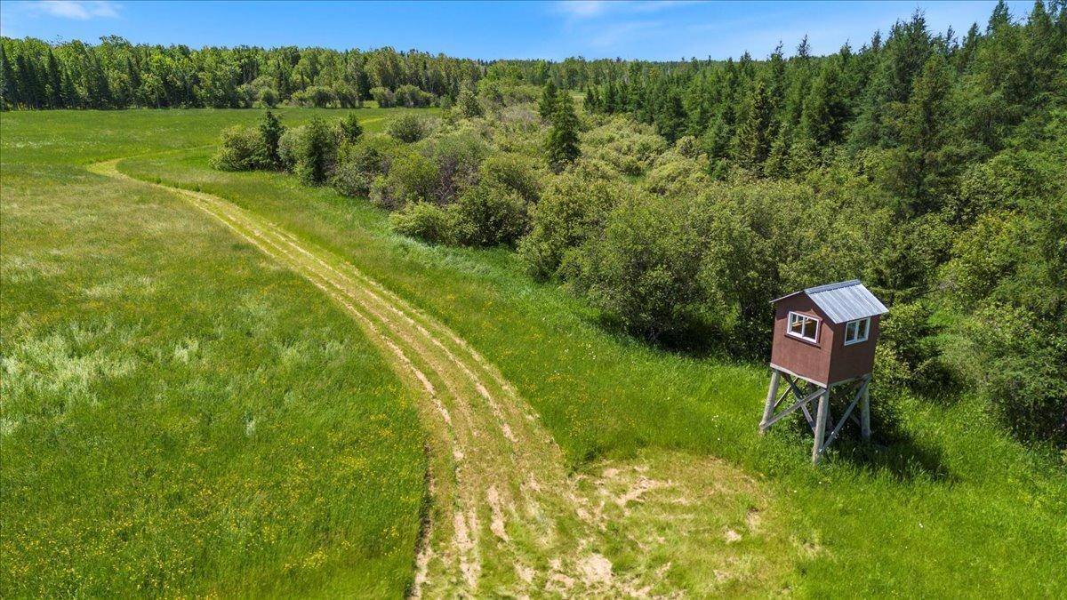 Talmoon, MN 56637,TBD County road 4
