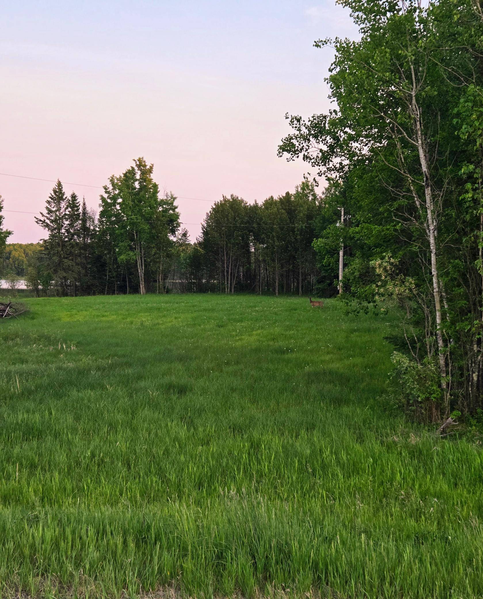 38093 County Road 45, Marcell Twp, MN 56657
