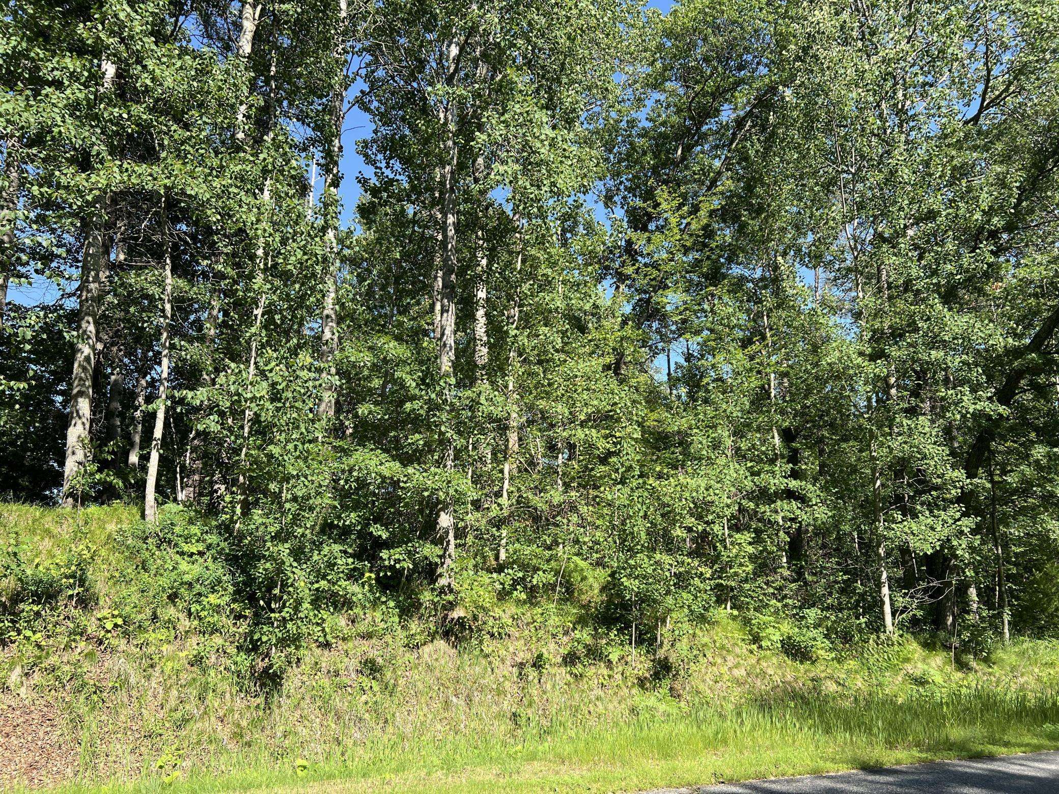 Breezy Point, MN 56472,Lot 8 Terminal RD