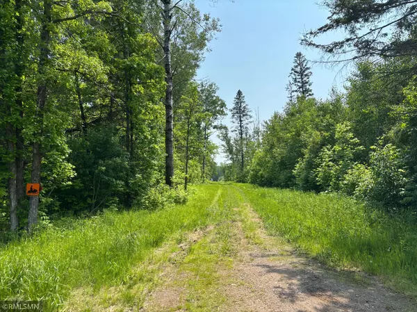 Mcgregor, MN 55760,TBD 370th LN