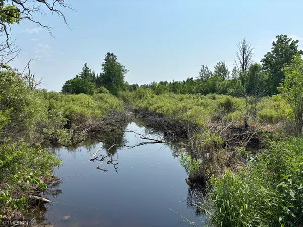 Mcgregor, MN 55760,TBD 370th LN