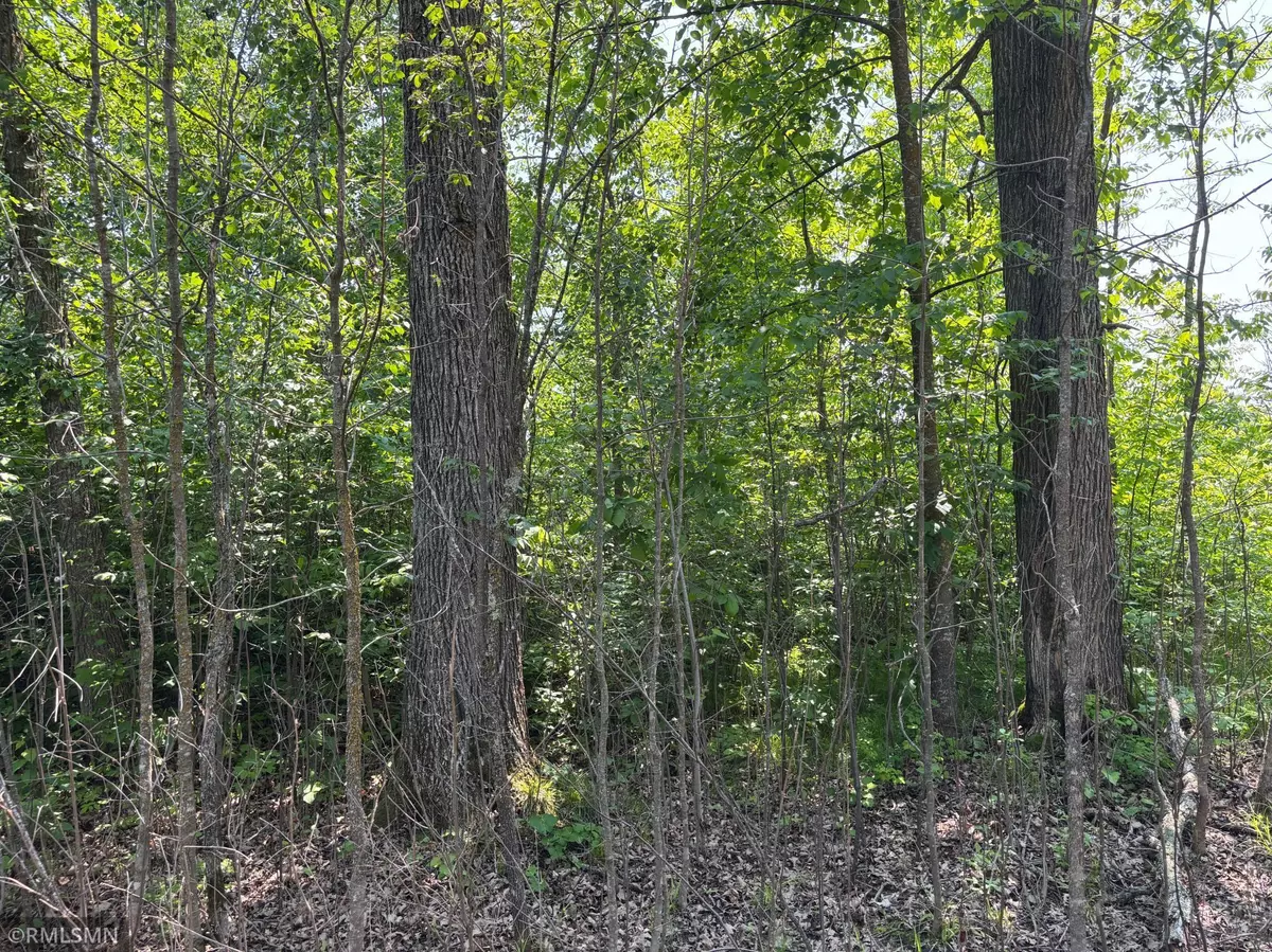 Mcgregor, MN 55760,TBD 370th LN