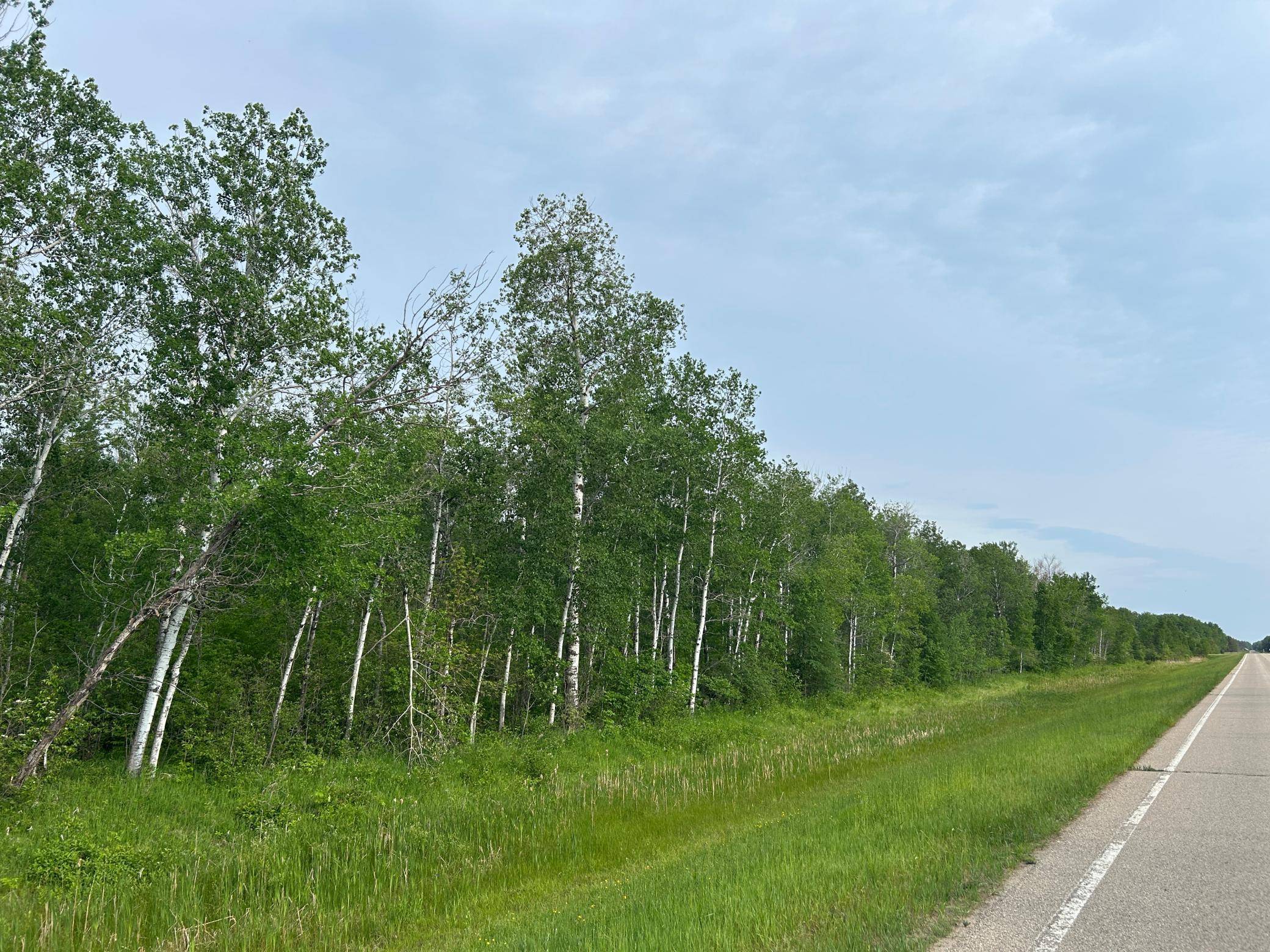 Williams, MN 56686,TBD 53rd AVE SW