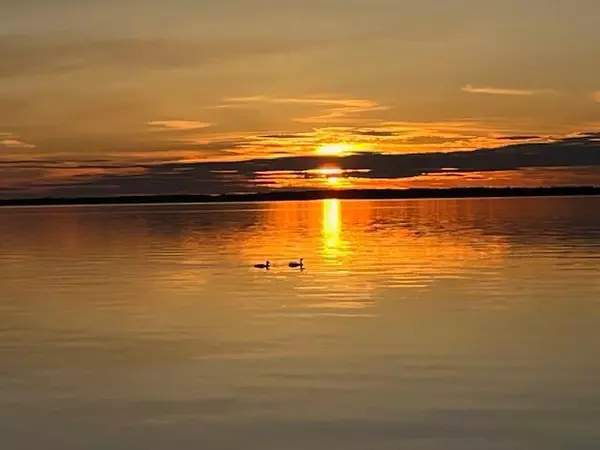 Otter Tail Twp, MN 56515,28647 State Highway 78