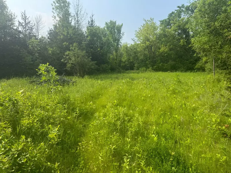 3920 Tomahawk Trail, Medina, MN 55340