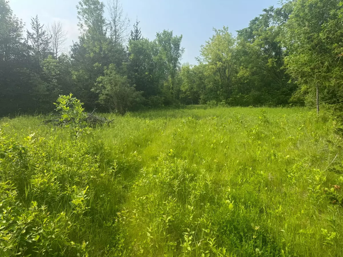Medina, MN 55340,3920 Tomahawk Trail