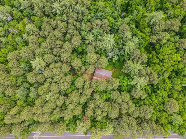 Crow Wing Lake Twp, MN 56467,24747 State 87