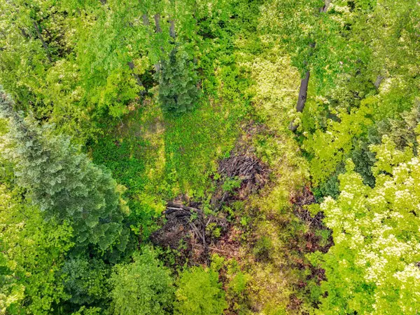 Deer River, MN 56636,TBD Willow Lake Dr