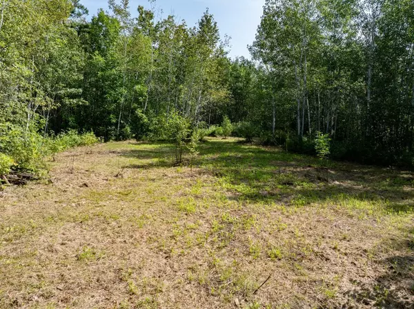 Brainerd, MN 56401,12084 County Road 144