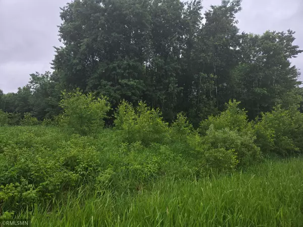 Webster, WI 54893,xxx E Oak ST