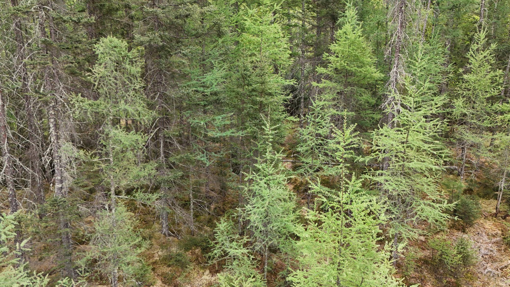 Wascott, WI 54838,Lot 3 E Lakewood Drive