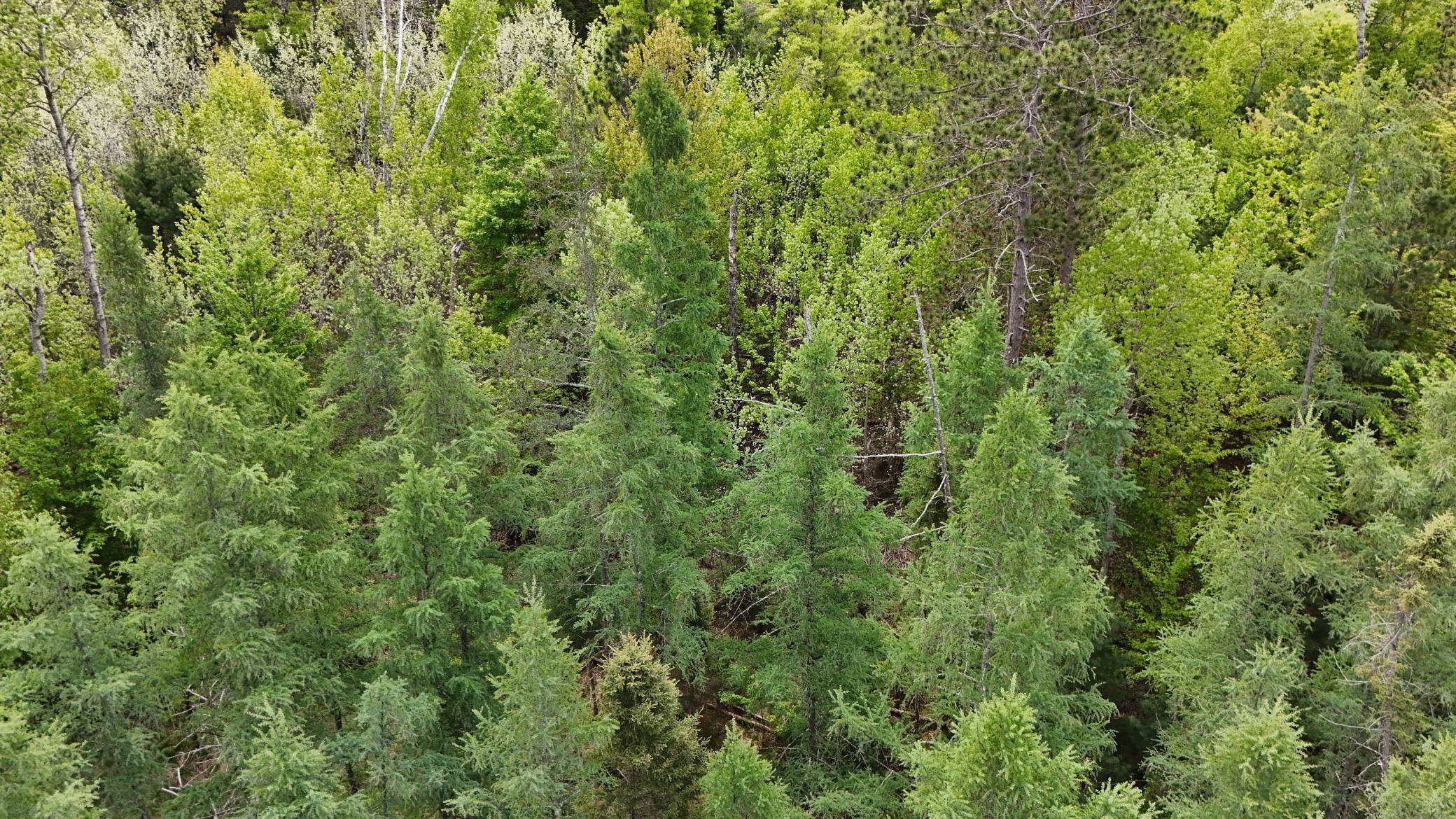 Wascott, WI 54838,Lot 4 E Lakewood DR