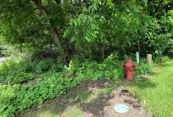 Minnetonka, MN 55345,4893 Woodhurst LN