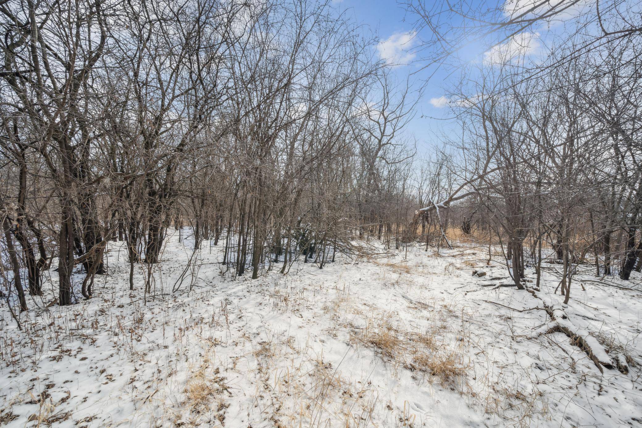 Rochester, MN 55904,xxxx Pinewood RD SE