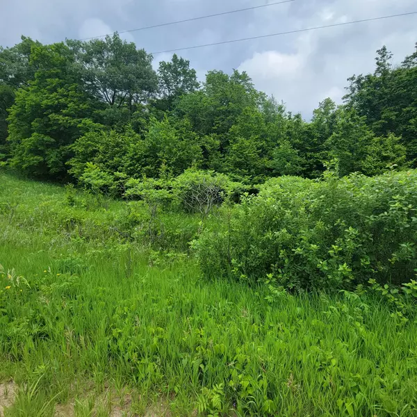 Rush Lake Twp, MN 56576,TBD Jeff Lake Road