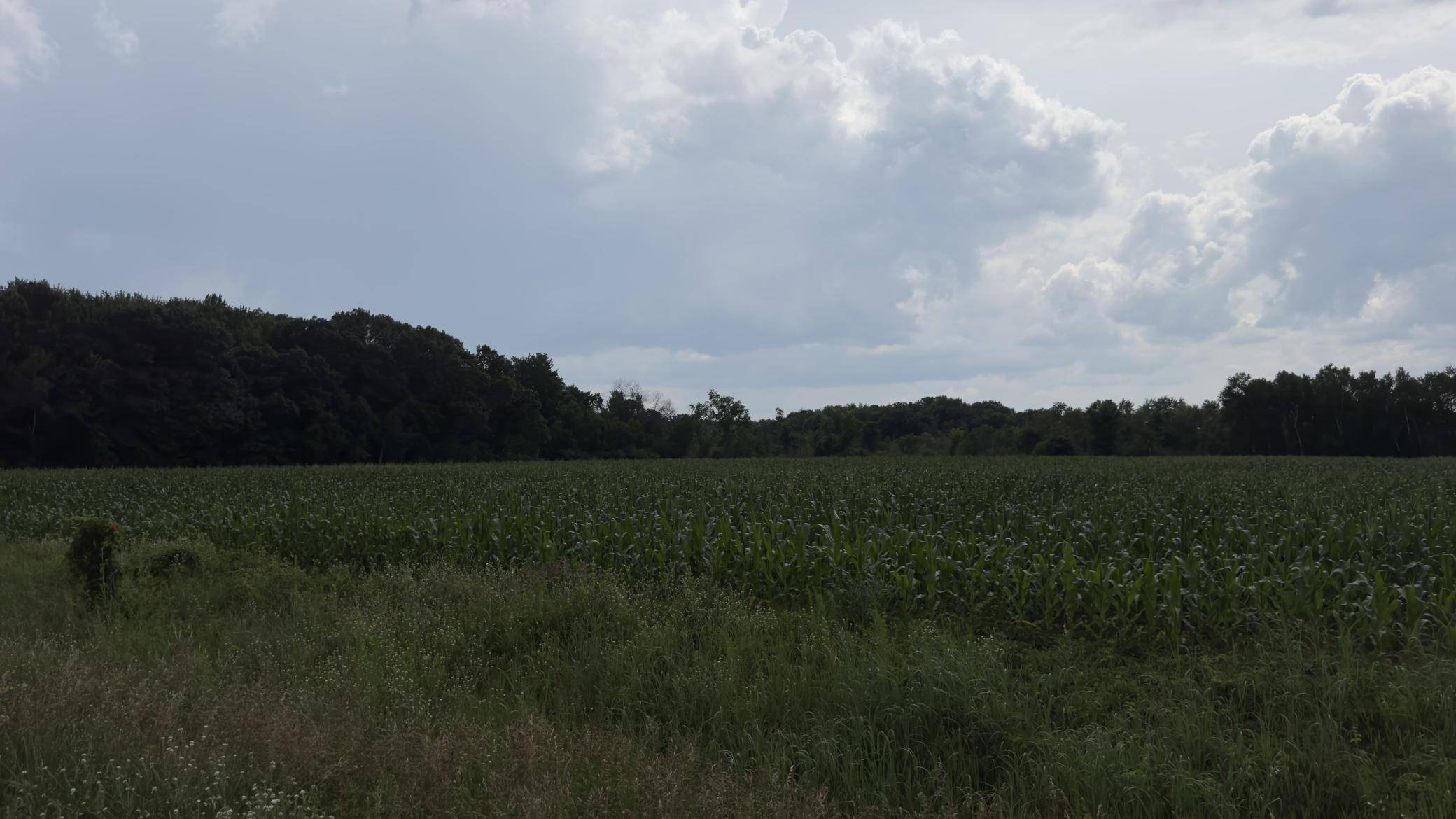 Stacy, MN 55079,xxx Athens