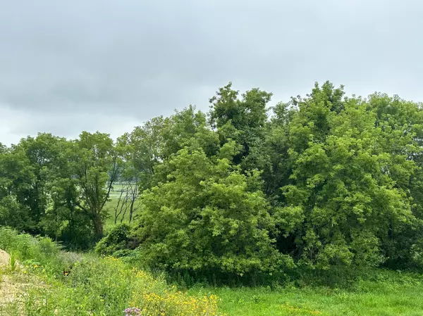 Laketown Twp, MN 55318,TBD County Road 43