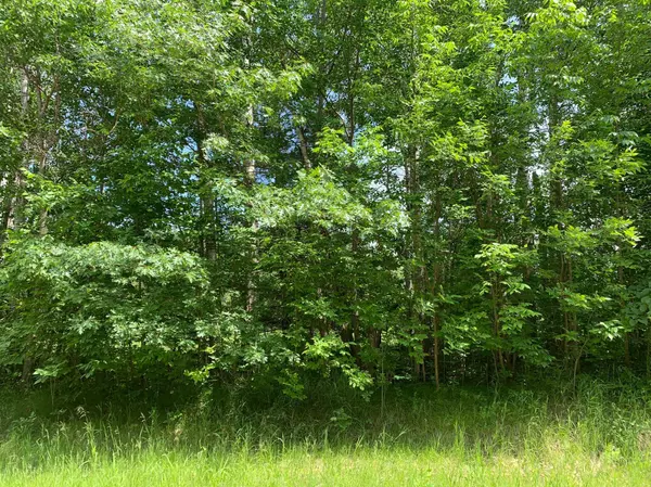 Walker, MN 56484,TBD 63rd AVE NW