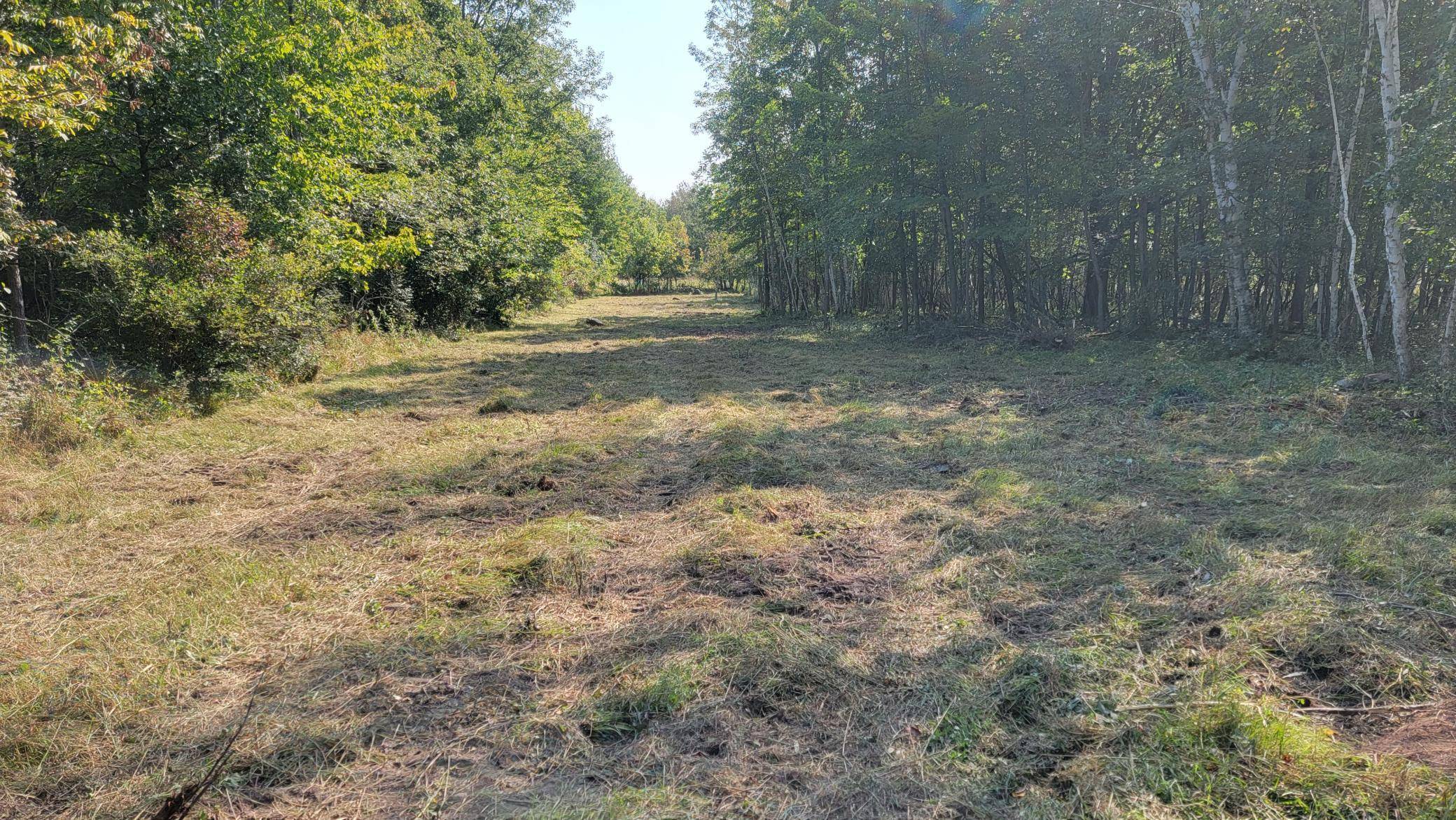 Lincoln Twp, WI 54001,TBD 110th ST