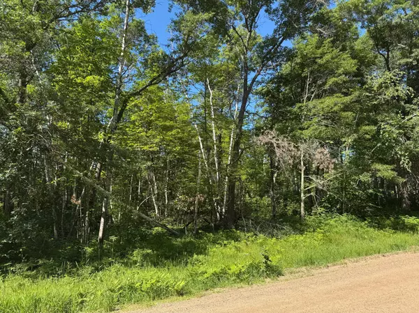 Breezy Point, MN 56472,xxx Blue Ridge DR