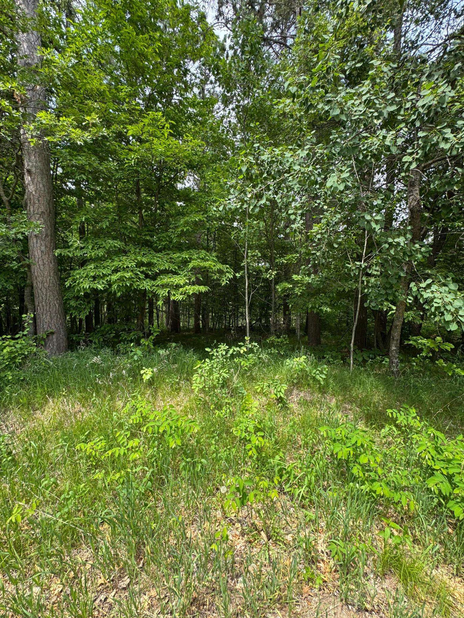 Breezy Point, MN 56472,TBD White Overlook DR