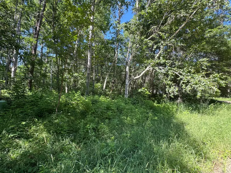 TBD Cedar ST, Breezy Point, MN 56472