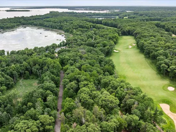 Pelican Twp, MN 56472,XXX Dog Leg
