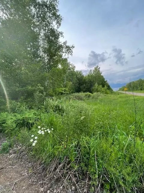 Hinckley, MN 55037,TBD Parcel I Fox RD