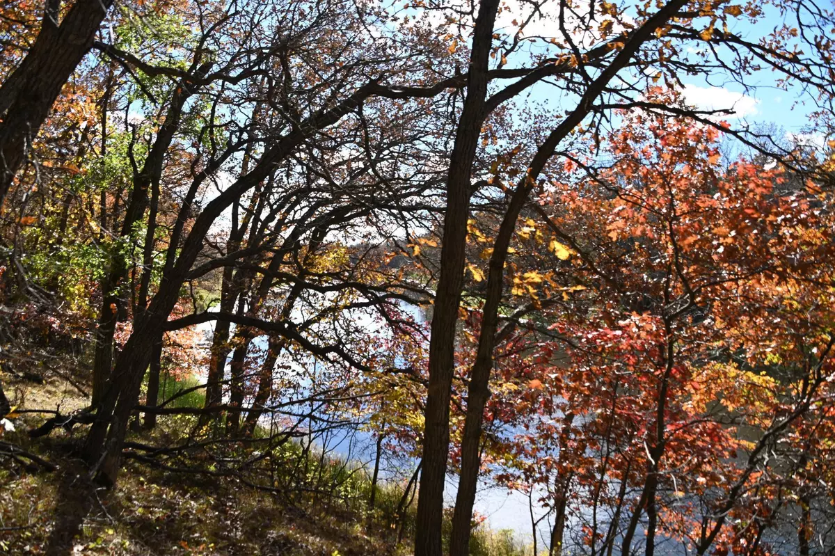 Ward Twp, MN 56438,38869 Odin CT