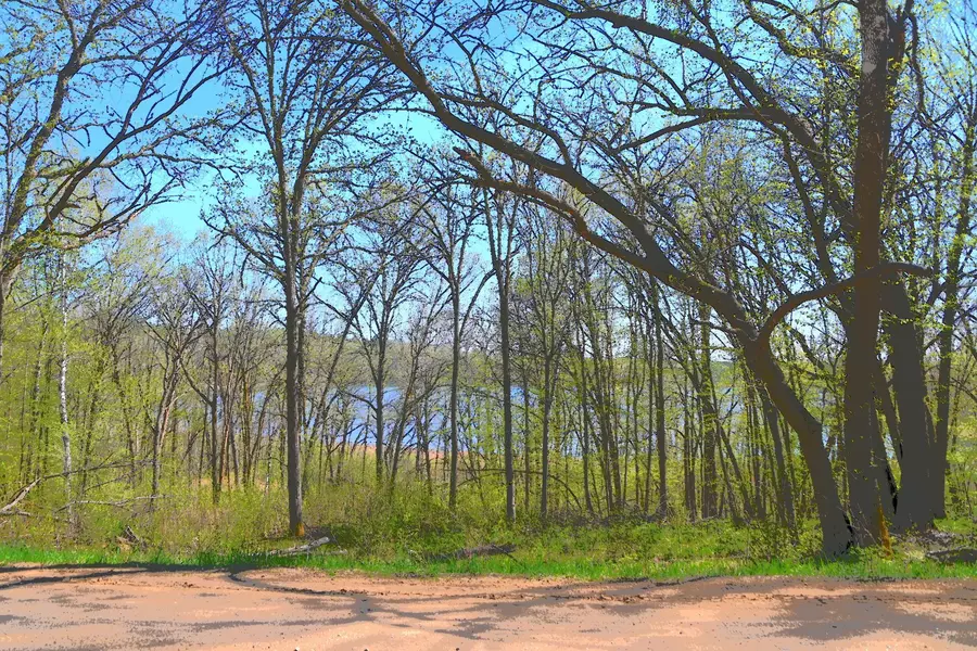 TBD Ottawa DR, Fawn Lake Twp, MN 56438