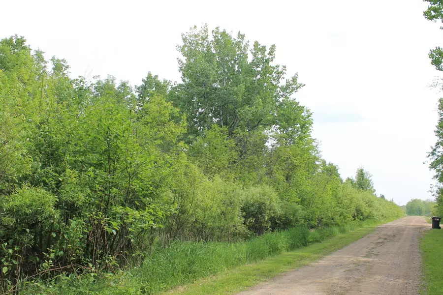 XXX Feeley 3, Warba, MN 55793