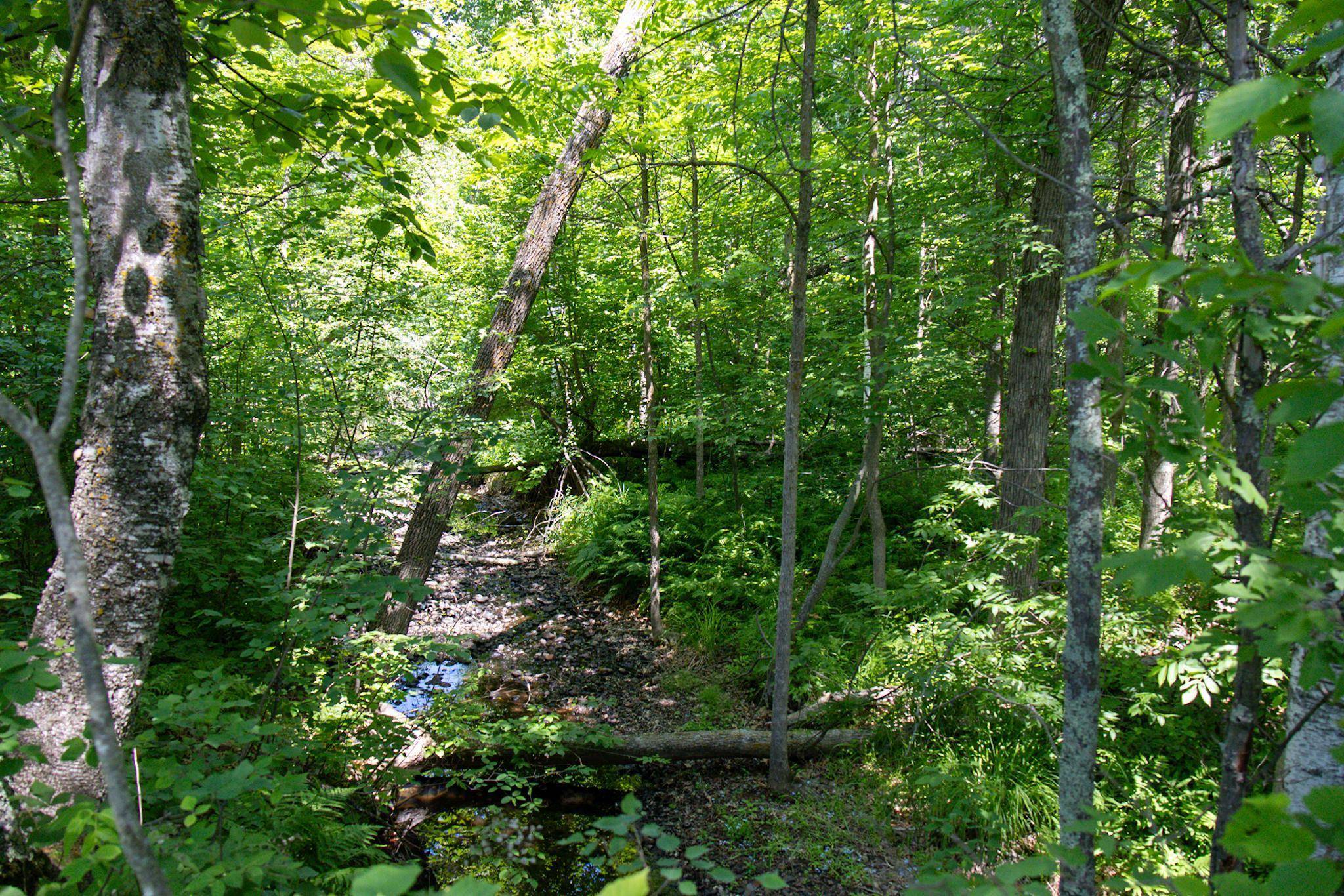 Moose Lake Twp, MN 55767,00 N Riverside RD