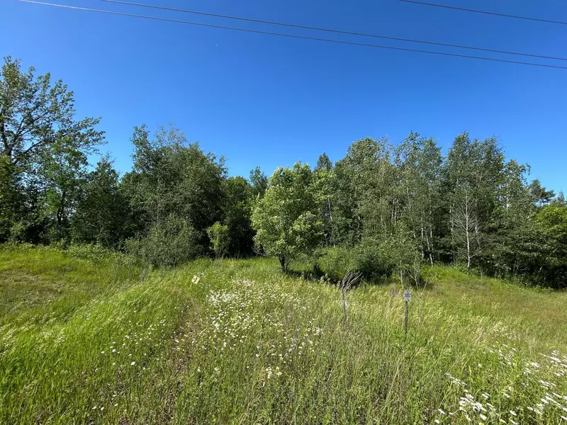 TBD 260TH, Rockwood Twp, MN 56477