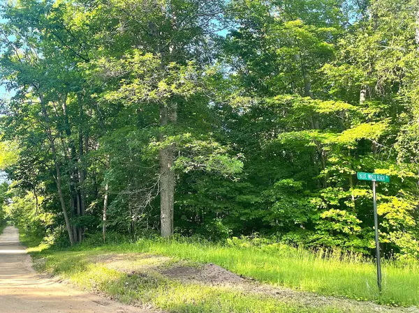 Walker, MN 56484,TBD Blue Water Beach RD