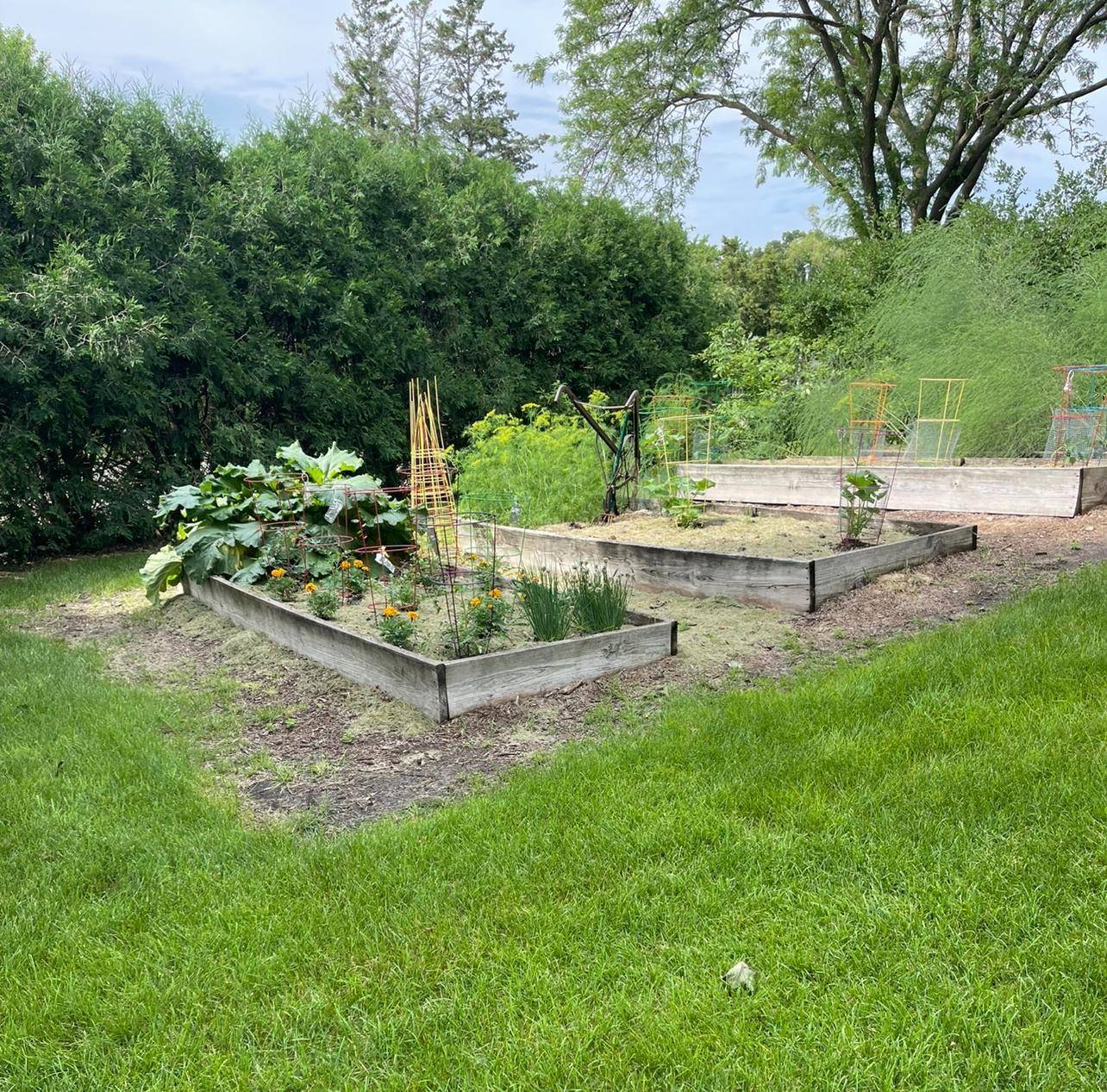 Albert Lea, MN 56007,319 Garden RD