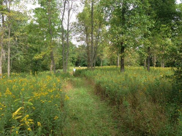 Kroschel Twp, MN 55037,3040 330th AVE