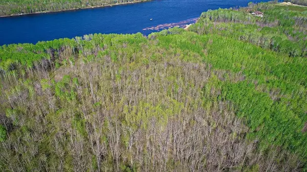 Baudette, MN 56623,Lot 11 - TBD Driftwood LN NW