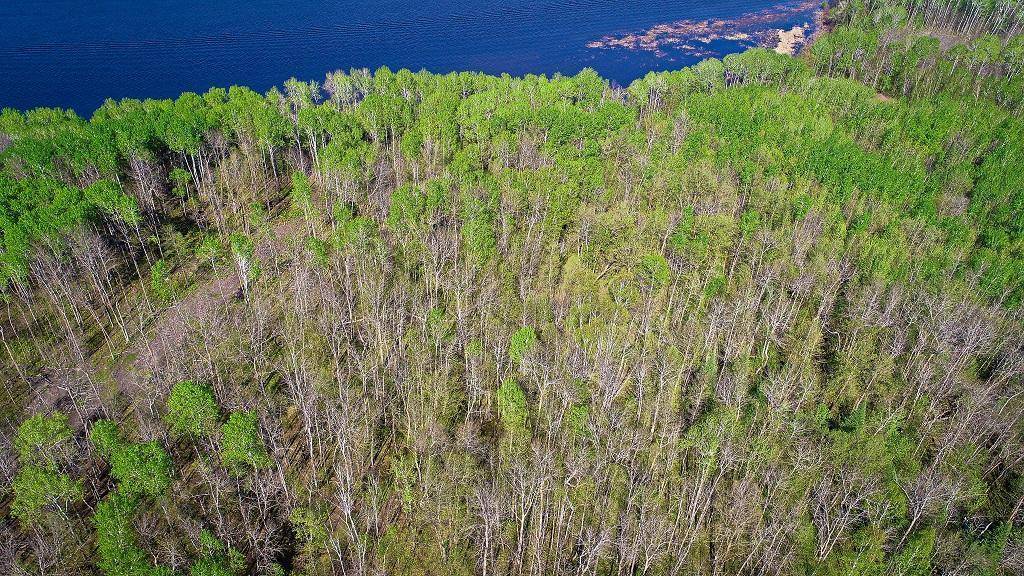 Baudette, MN 56623,Lot 12 - TBD Driftwood LN NW