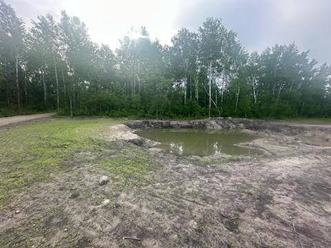 Salol, MN 56756,TBD 500th AVE