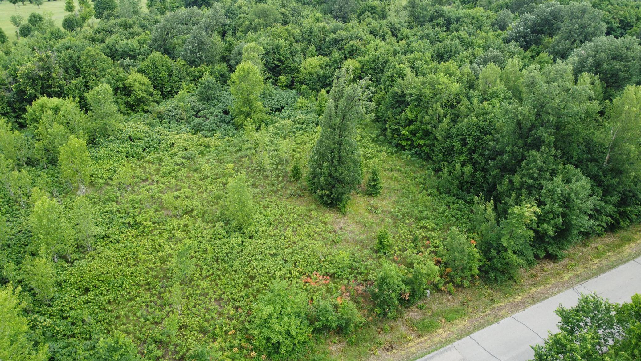 Ottertail, MN 56571,TBD Long Lake
